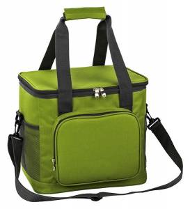 Сумка-холодильник 20 л, TE-320S, зеленая