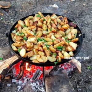 Сковорода из диска бороны "Козачка" 600 мм. 