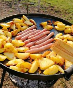 Садж из диска бороны 50 см.